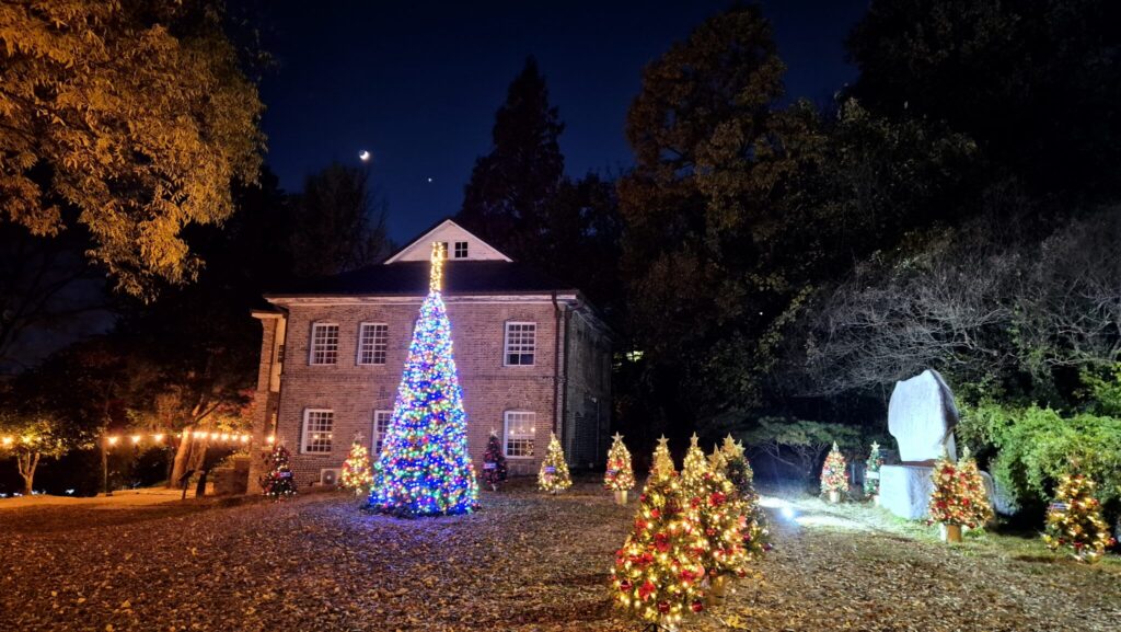 양림 크리스마스 문화축제 모습