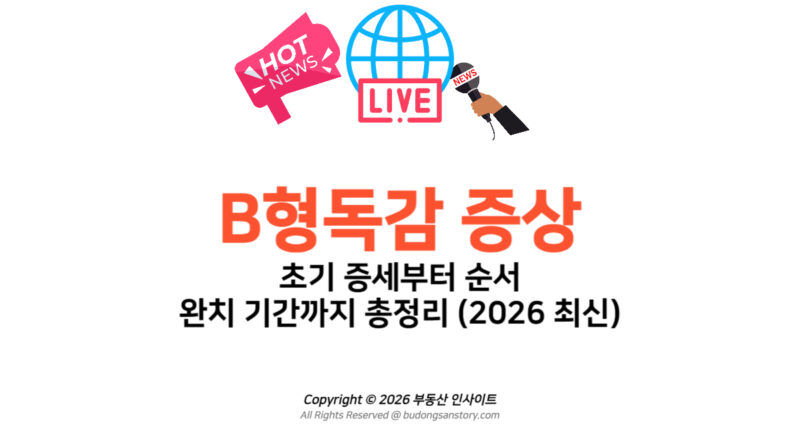 B형독감 증상 초기 증세부터 순서 완치 기간까지 총정리 (2026 최신)