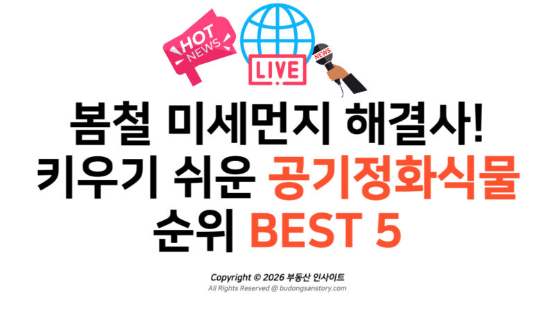 봄철 미세먼지 해결사! 키우기 쉬운 공기정화식물 순위 BEST 5