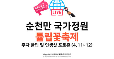 [2026] 순천만 국가정원 튤립꽃축제 주차 꿀팁 및 인생샷 포토존 (4.11~12)