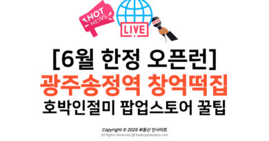[6월 한정 오픈런] 광주송정역 창억떡집 호박인절미 팝업스토어 꿀팁