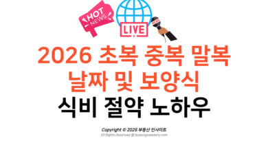 [오픈런 꿀팁] 2026 초복 중복 말복 날짜 및 보양식 식비 절약 노하우